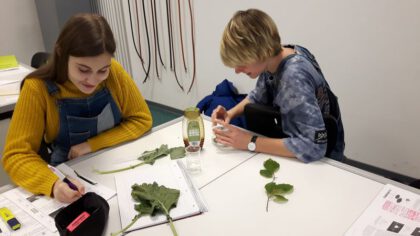 17.10.24 Herbstakademie2017 18