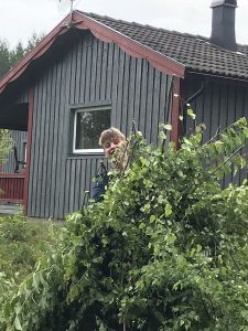 18.06.13 Herausforderung A 04.3