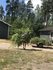 18.06.13 Herausforderung A 05.1