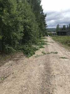 18.06.13 Herausforderung A 11.2