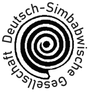Dsg Logo